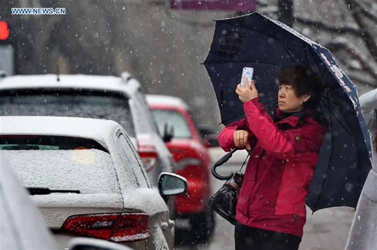 Mua tuyet giua thang 4 o Truong Xuan, Trung Quoc hinh anh