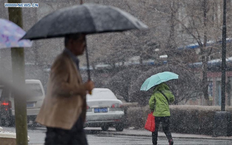 Mưa tuyết giữa tháng 4 ảnh 2 Mua tuyet giua thang 4 anh 2