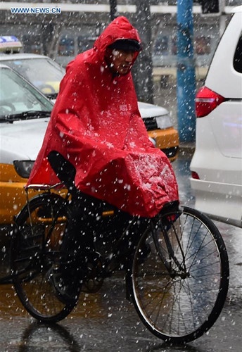 Mưa tuyết giữa tháng 4 ảnh 4 Mua tuyet giua thang 4 anh 4