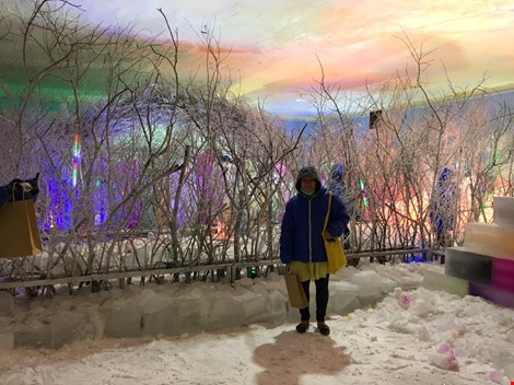 Trai nghiem bang gia, tuyet roi giua Sai Gon hinh anh