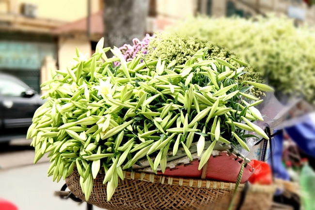 Hoa loa ken trang tinh khoi mang thang tu ve pho hinh anh