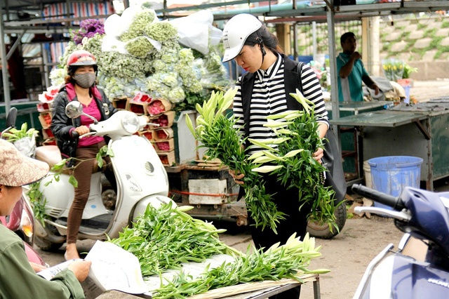 Hoa loa ken thang 4 anh 12