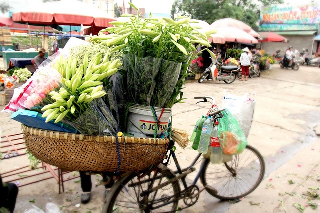 Hoa loa ken thang 4 anh 6