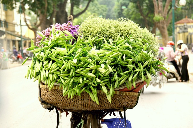 Hoa loa ken thang 4 anh 8