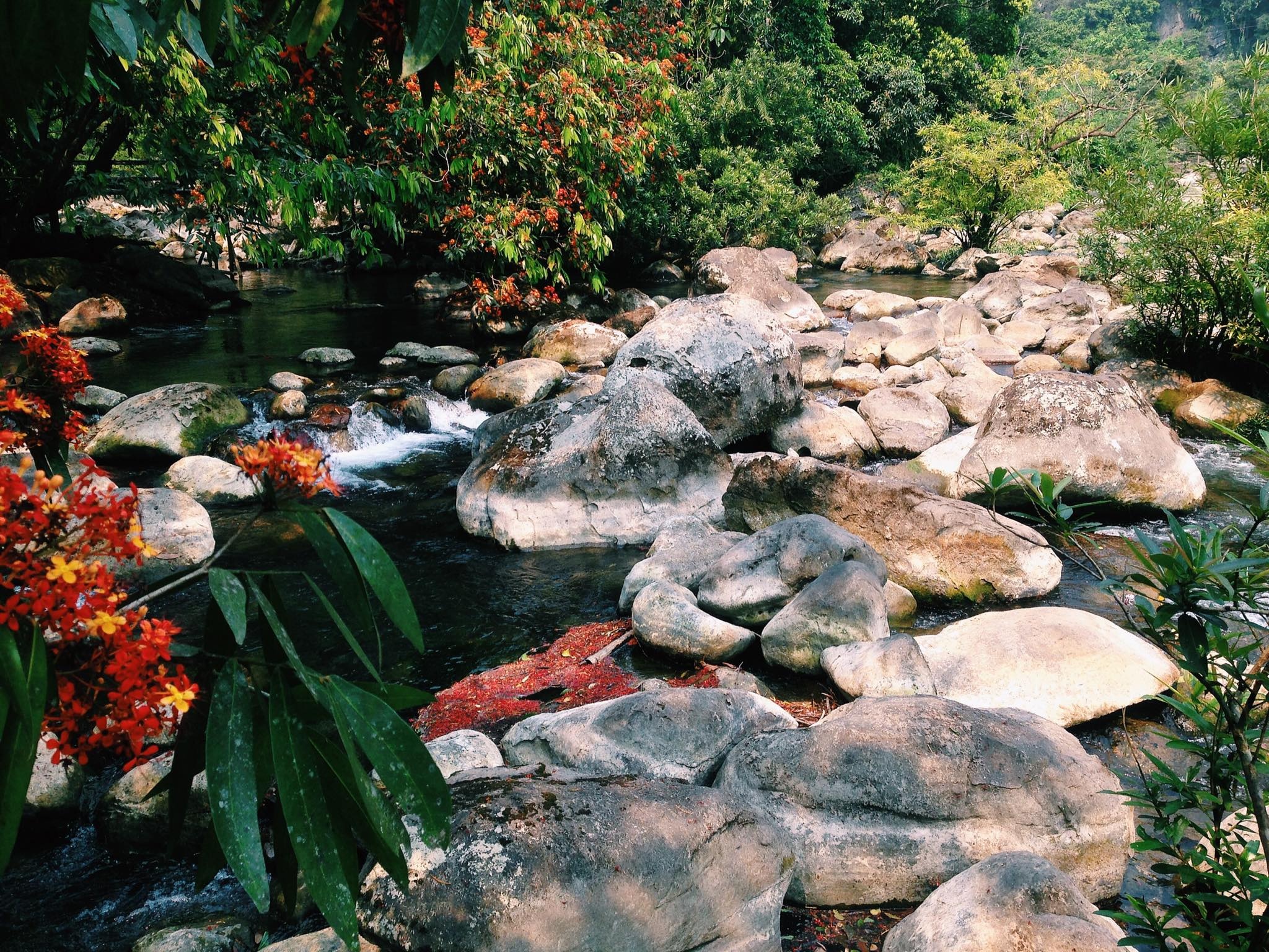 Suoi nuoc mooc Quang Binh anh 12