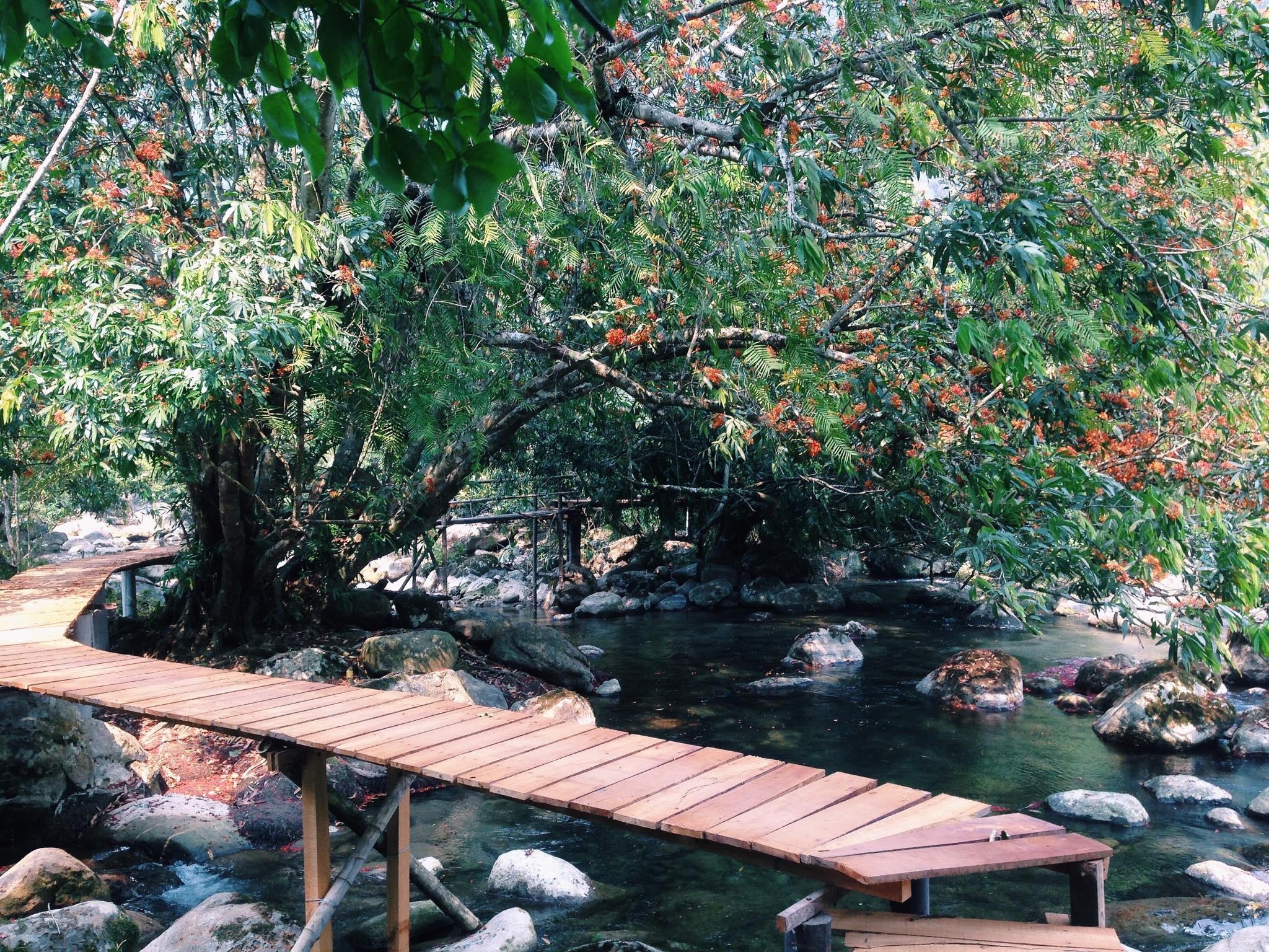 Suoi nuoc mooc Quang Binh anh 14