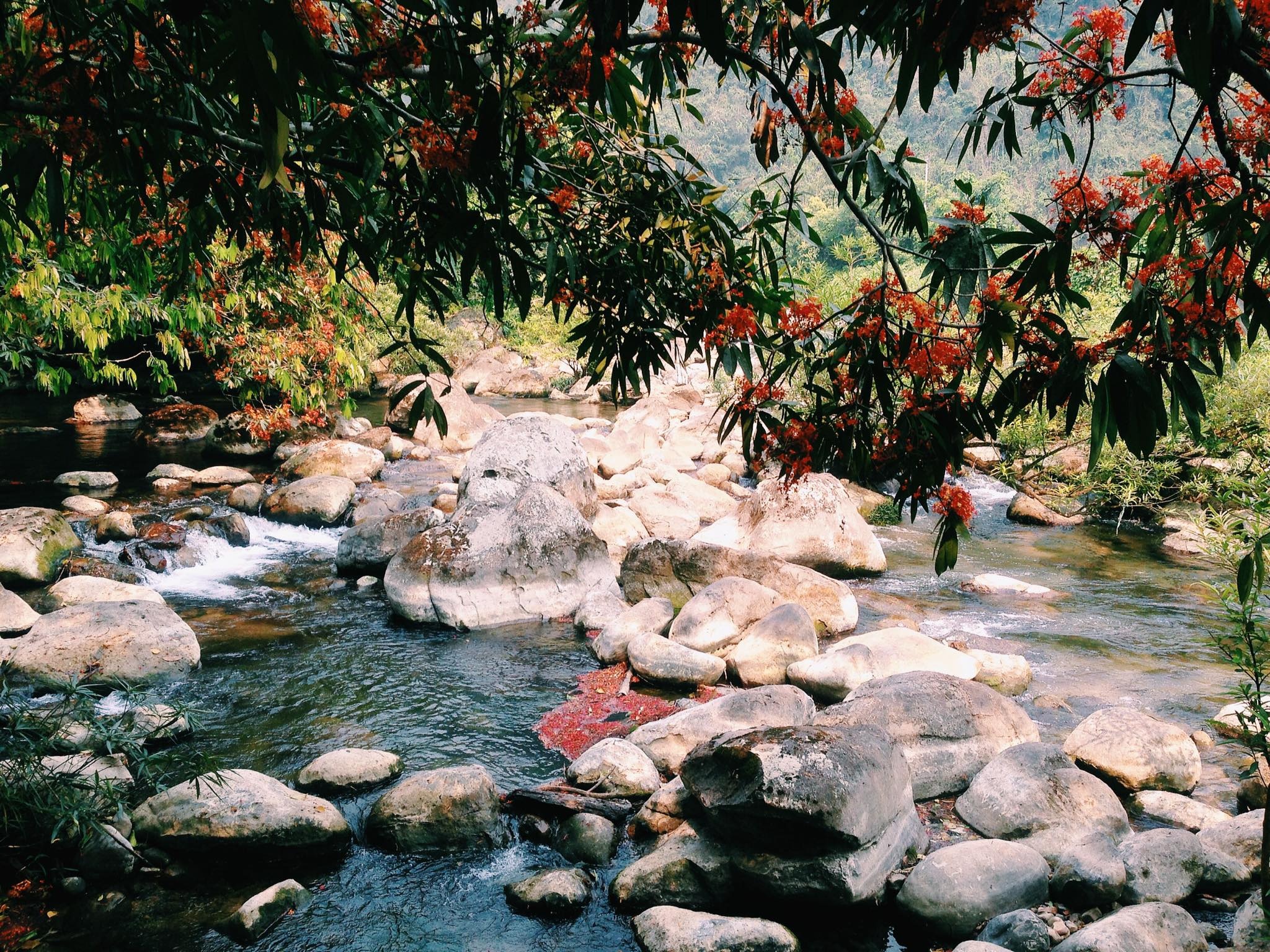 Suoi nuoc mooc Quang Binh anh 7