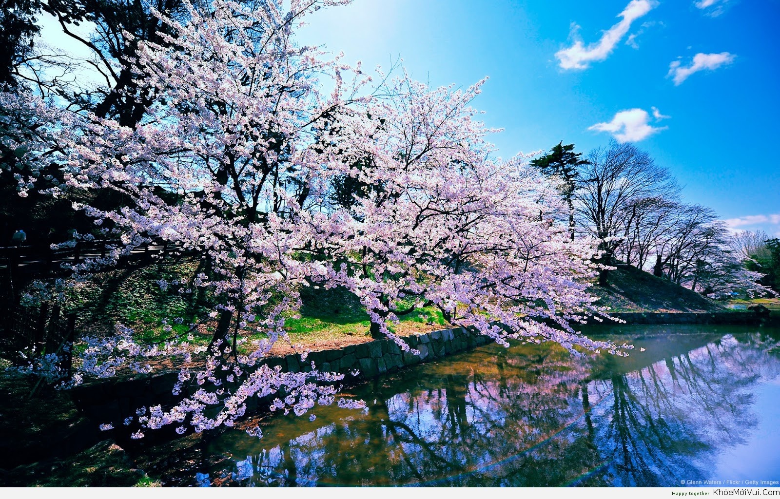 Tu vi thu tu ngay 20/4 cua cac cung hoang dao hinh anh