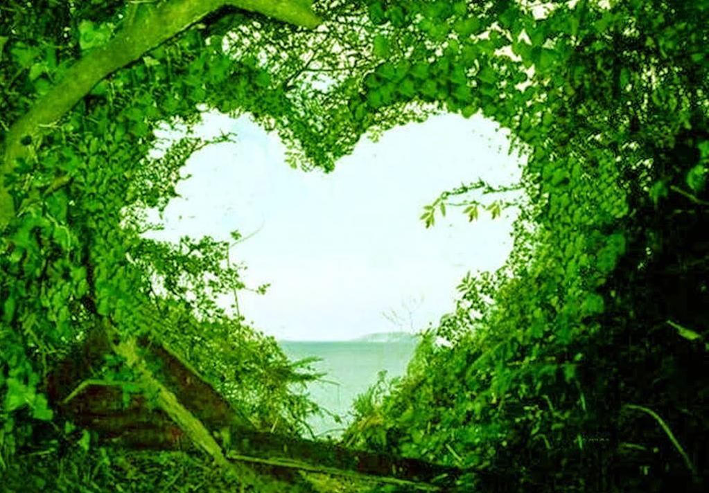 Tu vi chu nhat ngay 24/4 cua cac cung hoang dao hinh anh