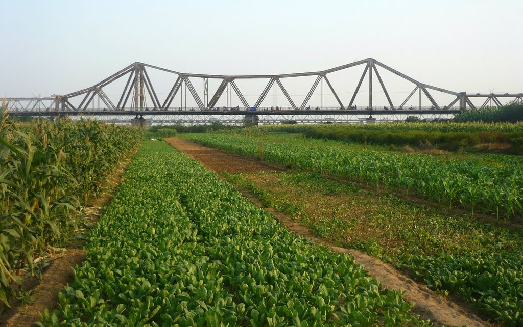 Cảm nhận về Hà Nội ảnh 1 Cam nhan ve Ha Noi anh 1