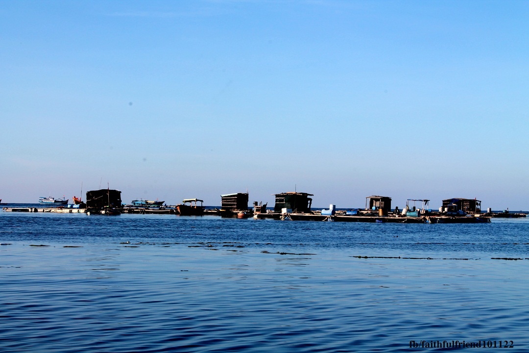 Du lich dao Phu Quy anh 14