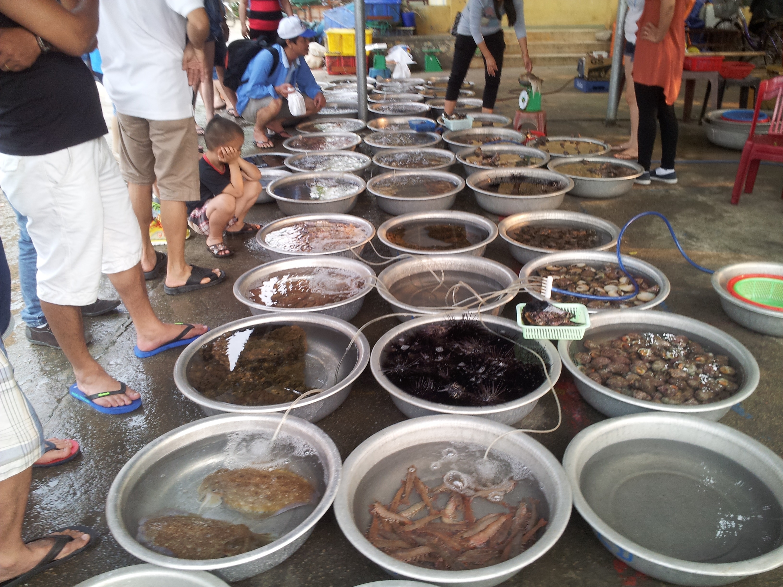 kinh nghiệm du lịch Cù Lao Chàm ảnh 3 kinh nghiem du lich Cu Lao Cham anh 3