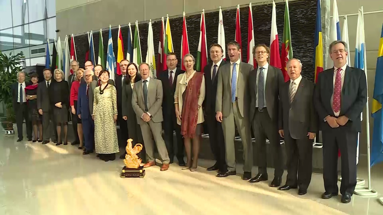 Dai su EU di cho Tet, gui loi chuc mung Tet toi nguoi Viet hinh anh