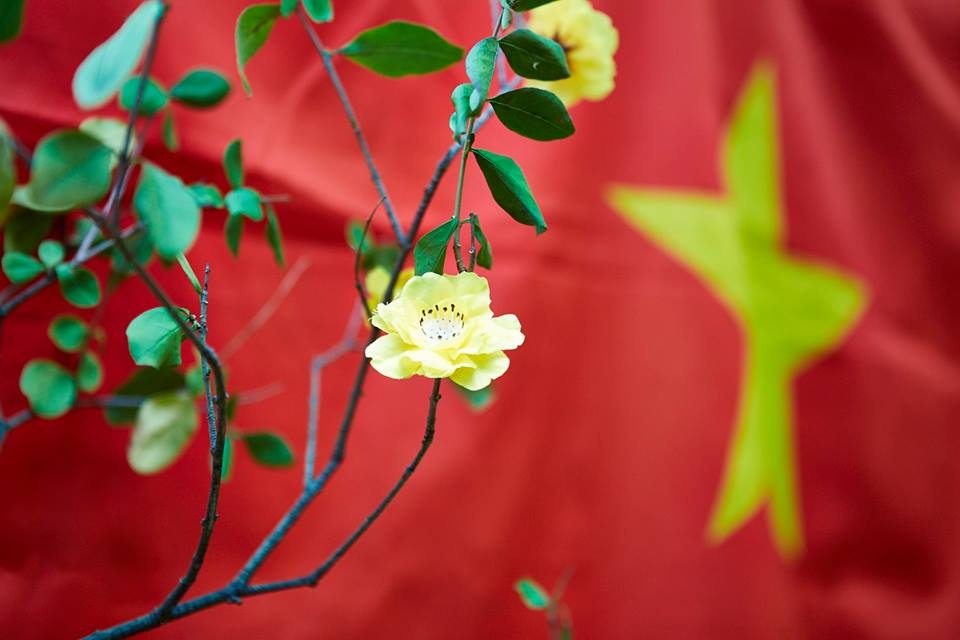 Người Việt bốn phương đón Tết ảnh 4 Nguoi Viet bon phuong don Tet anh 4