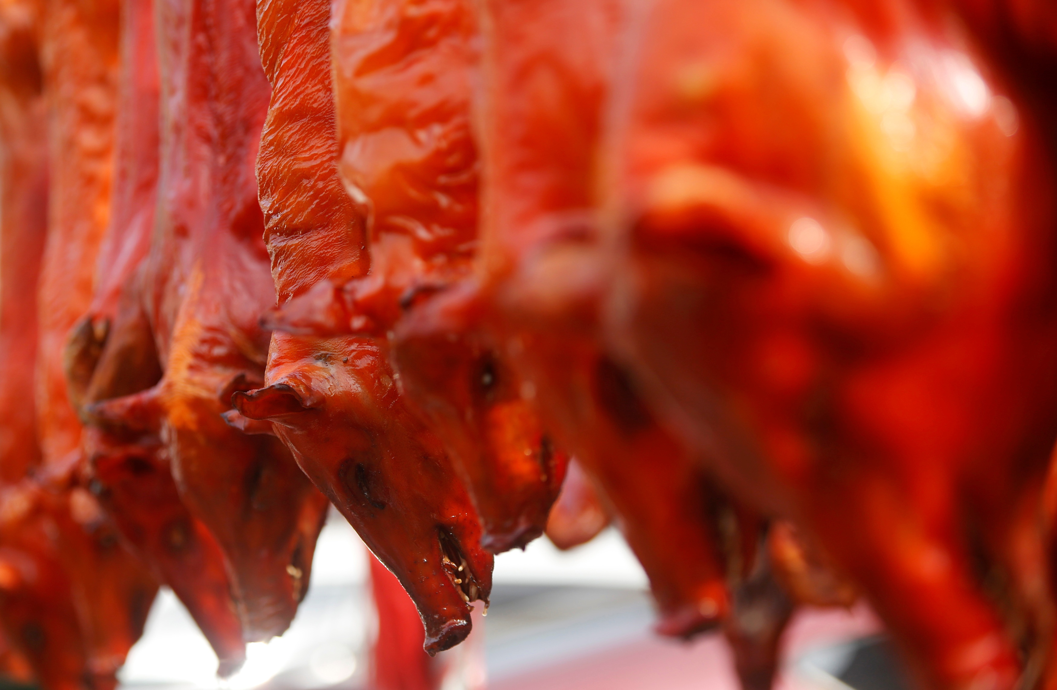 Tet am lich chau A anh 5