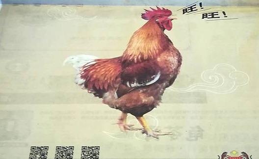 Malaysia xin loi vi hinh anh ga 'sua' tieng cho mung nam Tuat hinh anh