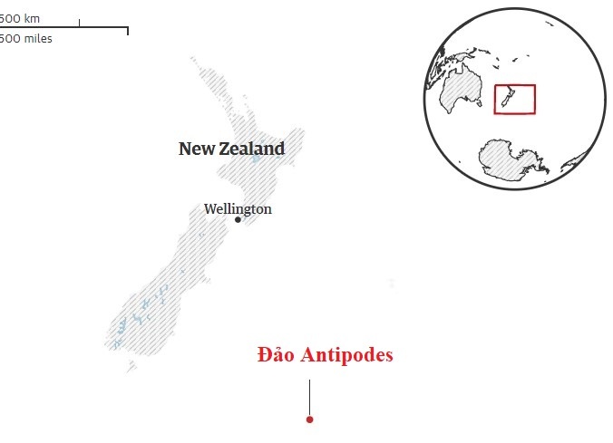 Diet chuot New Zealand anh 2