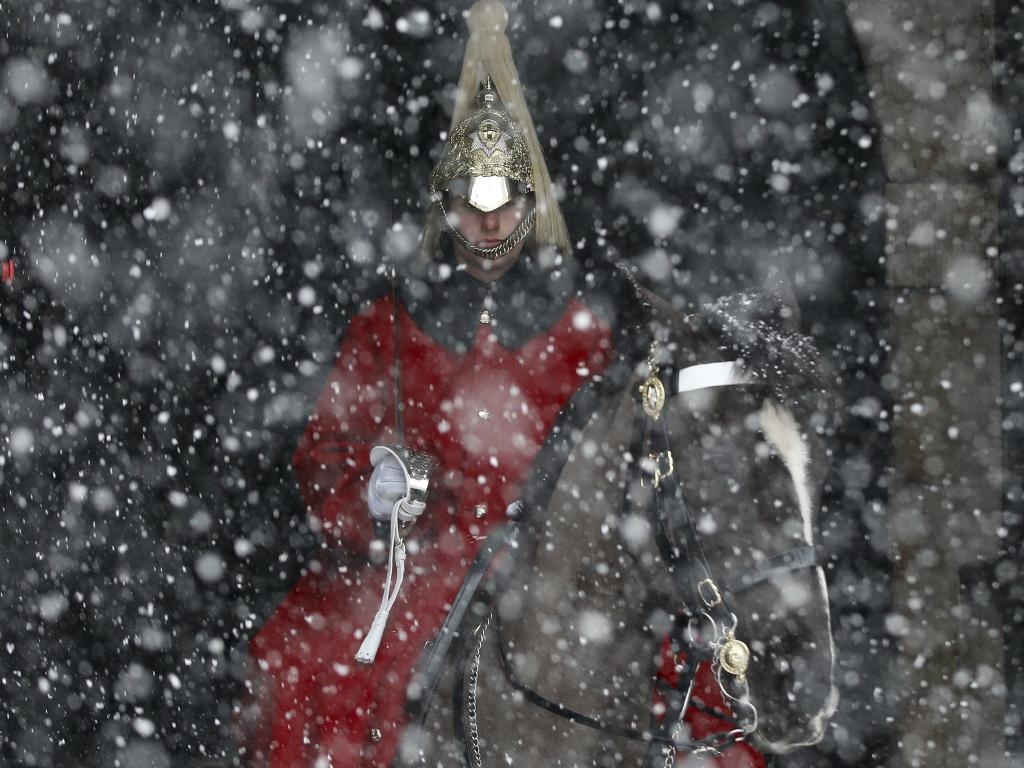 'Quai vat phuong Dong' dim chau Au trong bien tuyet hinh anh