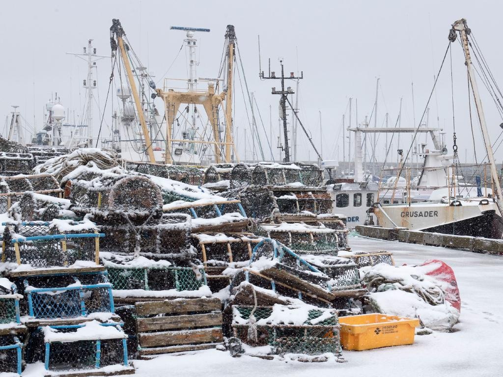 Bao tuyet chau Au anh 7