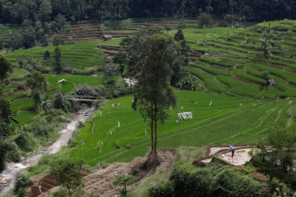 O nhiem Indonesia anh 11