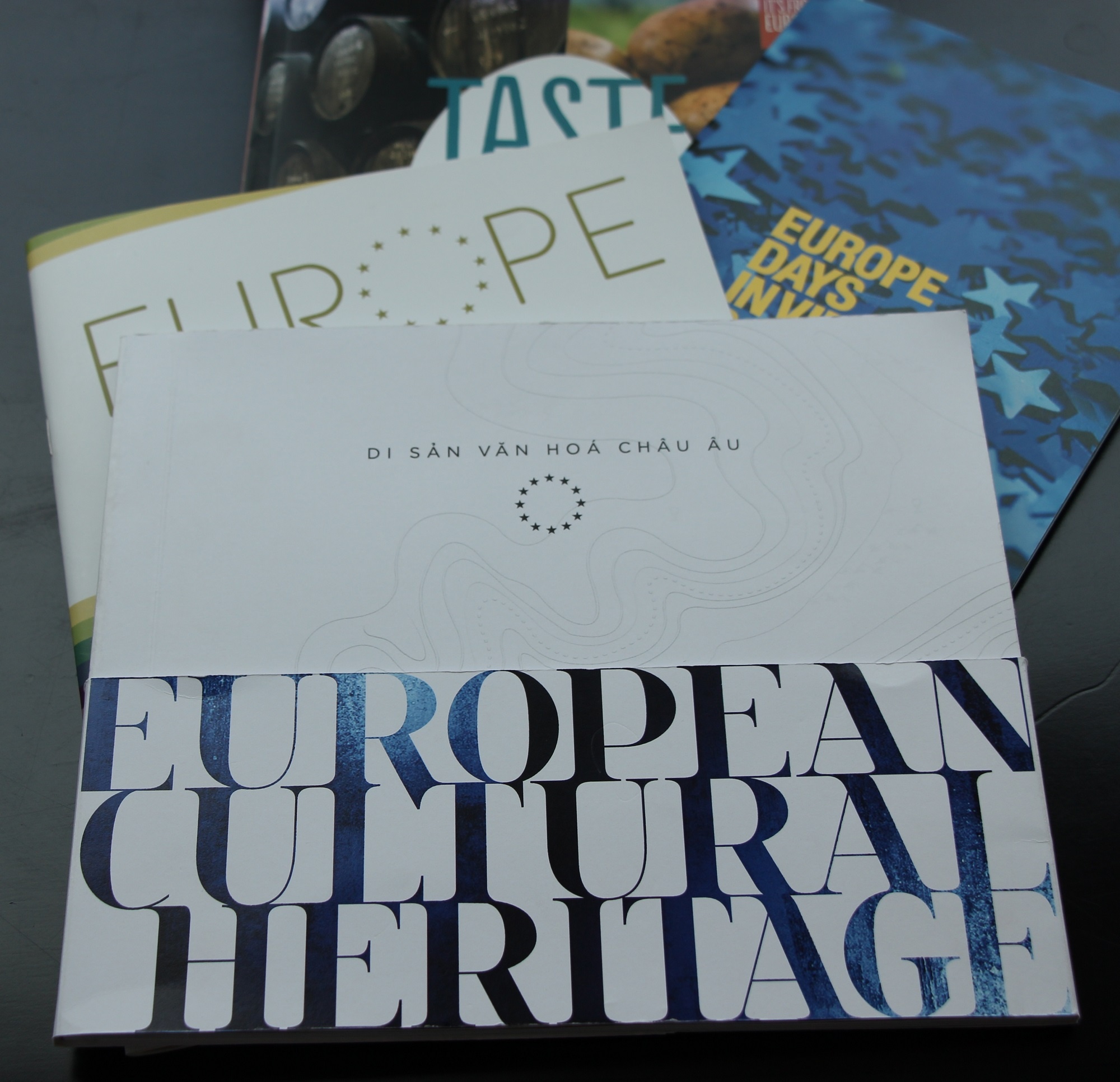 Ngày châu Âu tại Việt Nam ảnh 2 Ngay chau Au tai Viet Nam anh 2