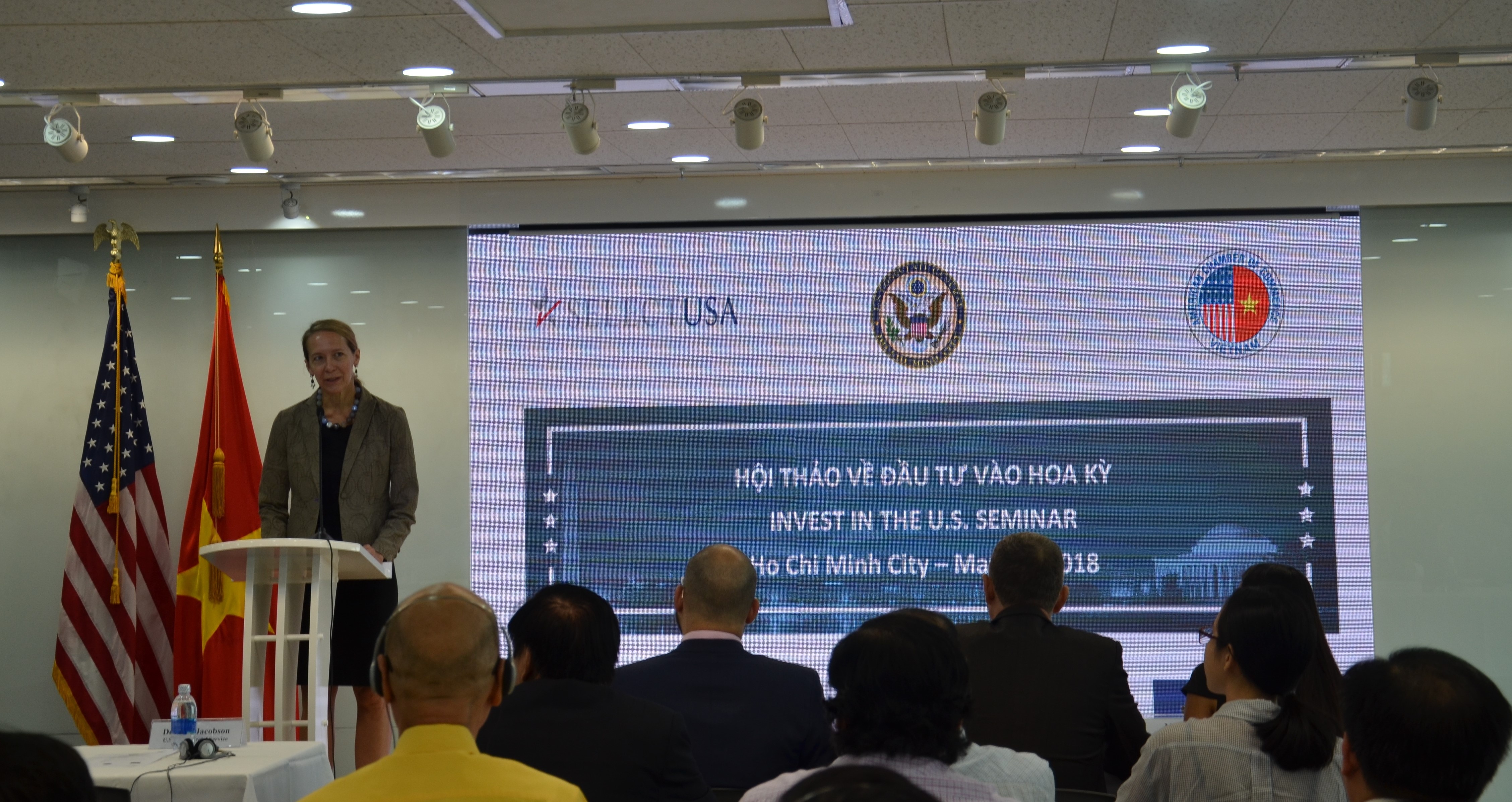 'Gio la luc de Viet Nam dau tu vao My' hinh anh