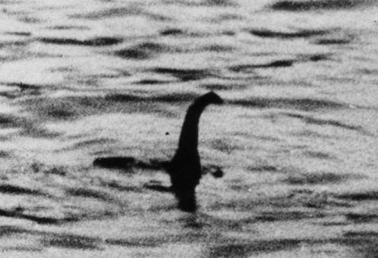 Quai vat ho Loch Ness co the la con ca da tron khong lo? hinh anh