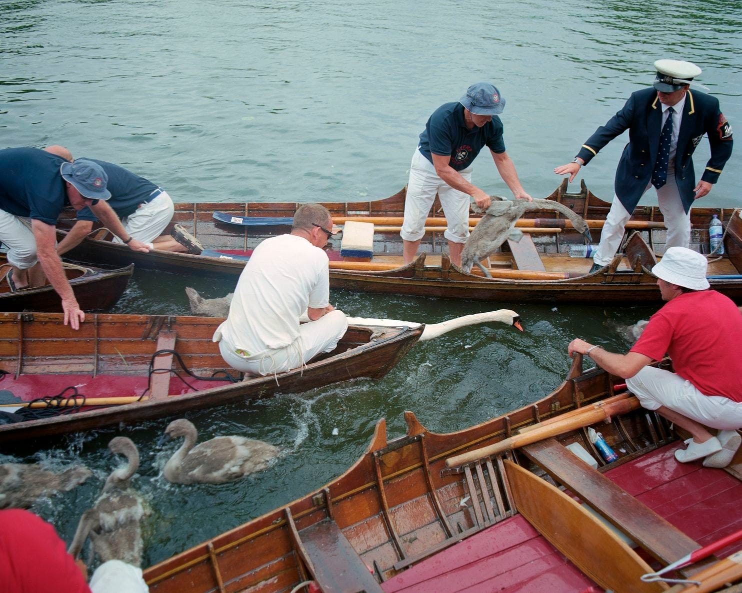 le hoi dem thien Nga anh 2