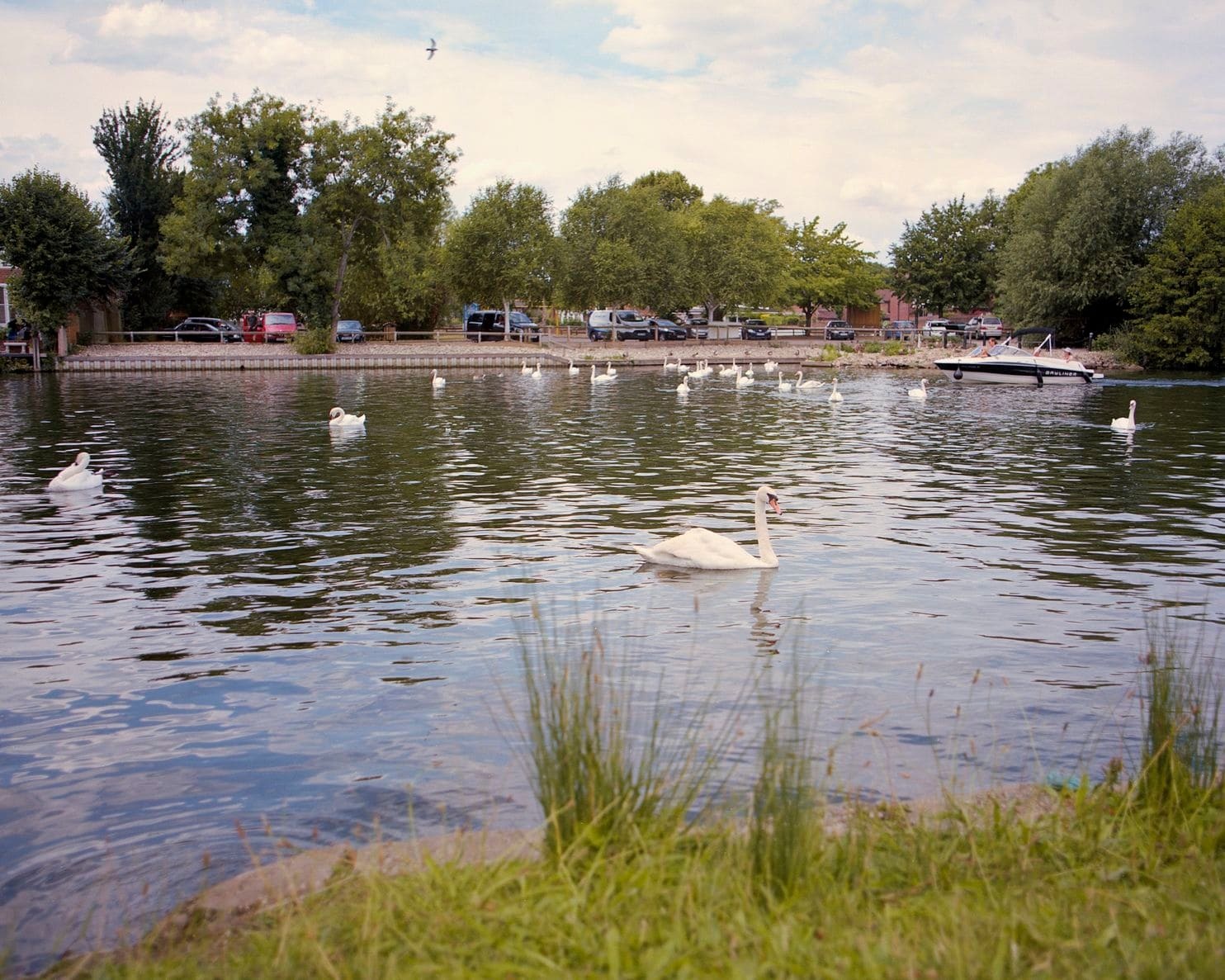 le hoi dem thien Nga anh 8