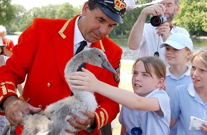 Le hoi dem thien nga tren song Thames cua Hoang gia Anh hinh anh