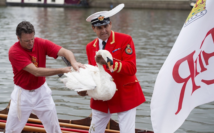 le hoi dem thien Nga anh 6