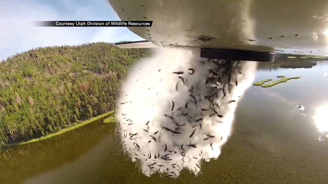 My tha hang trieu con ca tu may bay, tiep te cho ho kin tren nui hinh anh