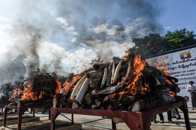 phat hien sinh vat moi o Dong Nam A anh 3