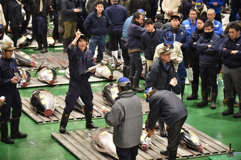 cho ca Nhat Ban anh 9