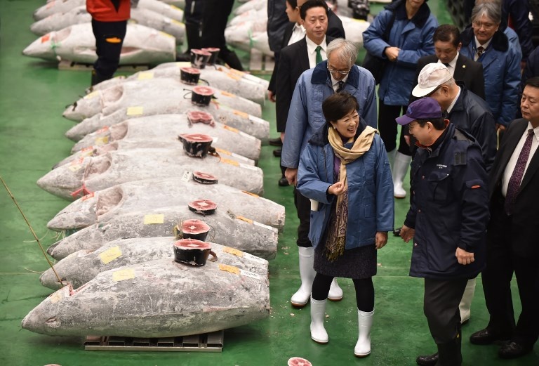 cho ca Nhat Ban anh 6