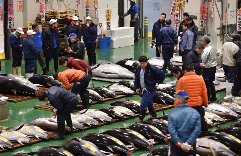 cho ca Nhat Ban anh 3