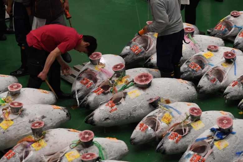 cho ca Nhat Ban anh 4