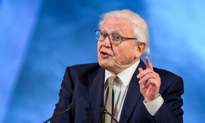 may bay rieng den Davos du dien dan kinh te anh 2