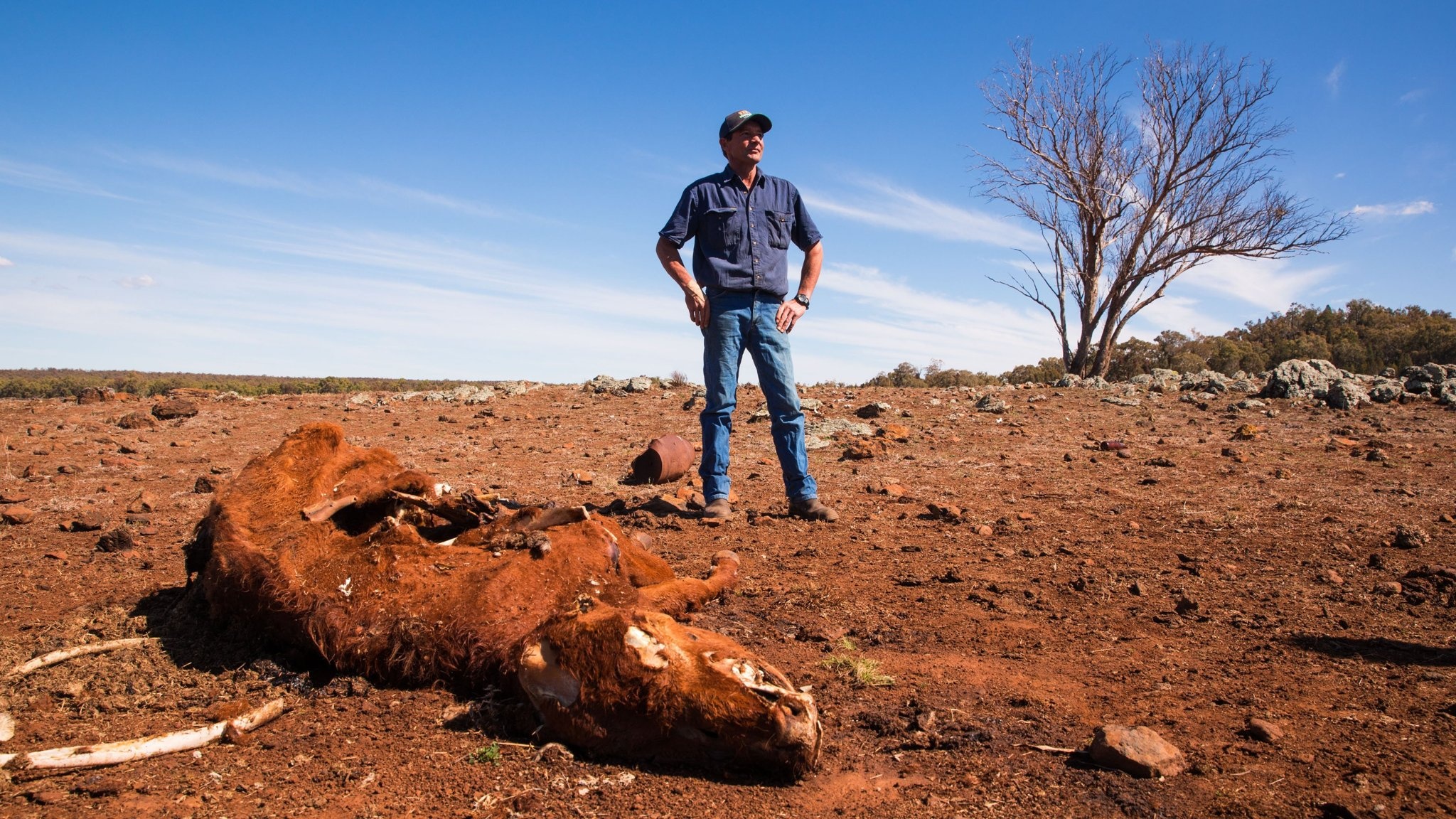 nang nong ky luc o Uc anh 6