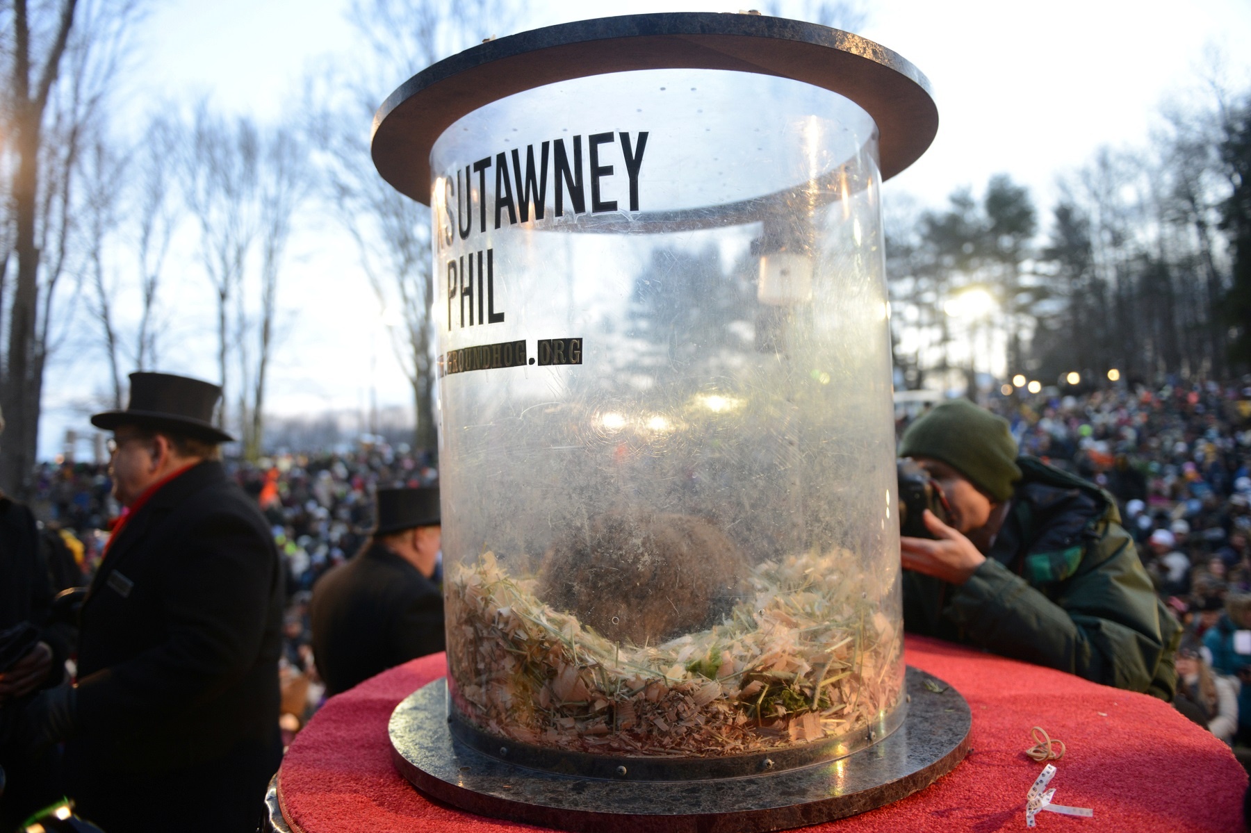 ngay le chuot chui tai My anh 7