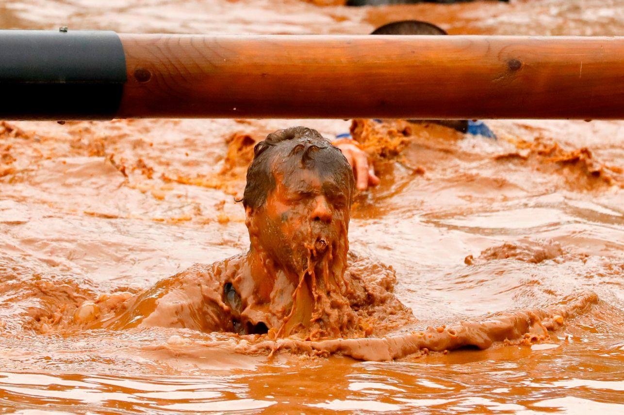 dua bun dat Israel anh 3