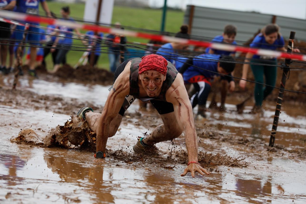 dua bun dat Israel anh 7