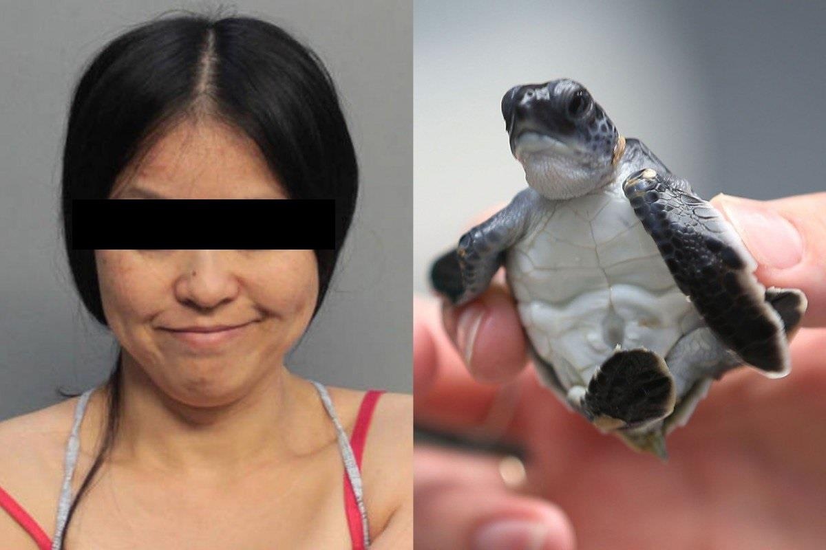 Phu nu Trung Quoc bi bat vi pha to rua bien quy hiem o My hinh anh