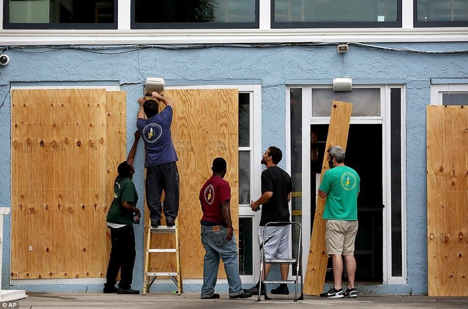 dan My don bao Dorian anh 1