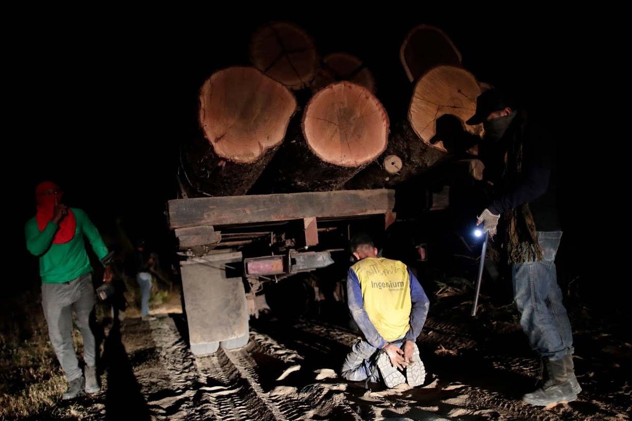 chong lam tac o rung Amazon anh 5