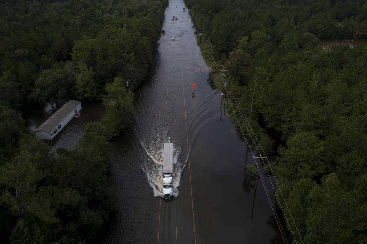 lu lut Houston anh 7