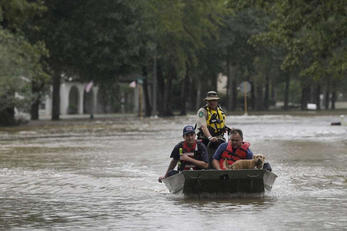 lu lut Houston anh 1