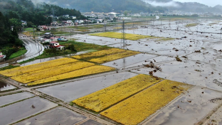 Bao Hagibis tan pha Nhat Ban anh 9