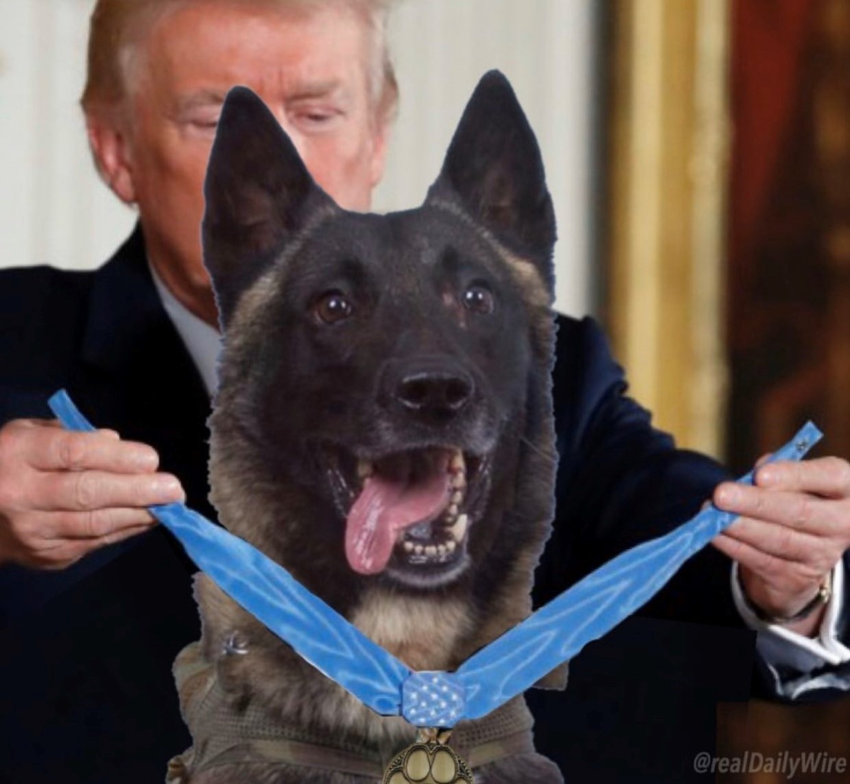 Tiêu diệt thủ lĩnh IS ảnh 1 Tieu diet thu linh IS anh 1