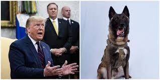 TT Trump tiet lo chu cho giup tieu diet thu linh IS se toi Nha Trang hinh anh